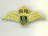 Fleet Air Arm Brooch